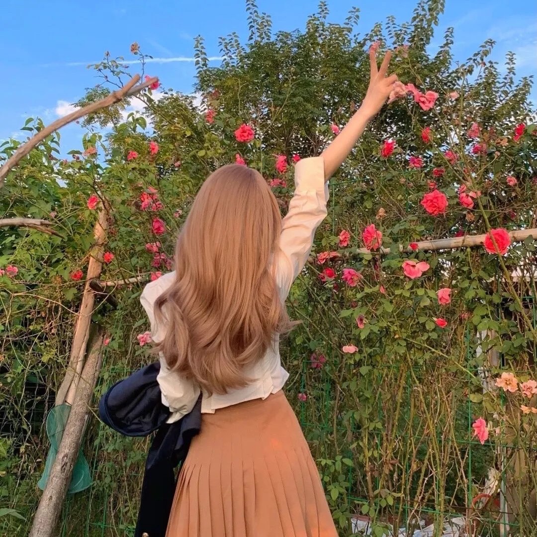 白莲花